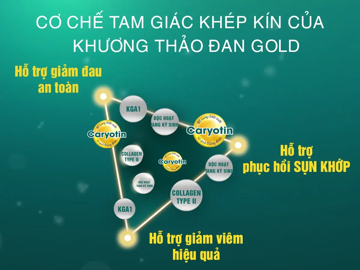 co-che-tam-giac-khuong-thao-dan-gold.jpg