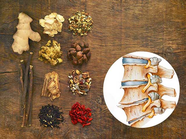 Thuốc Đông y chữa bệnh cần sử dụng lâu dài