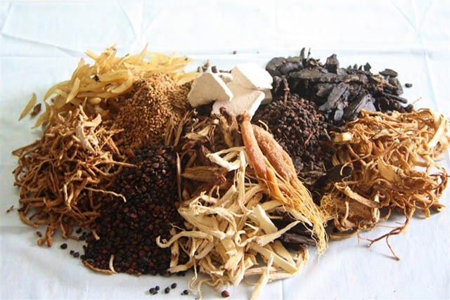 Đông y chữa bệnh chậm nhưng chắc, cho hiệu quả lâu dài