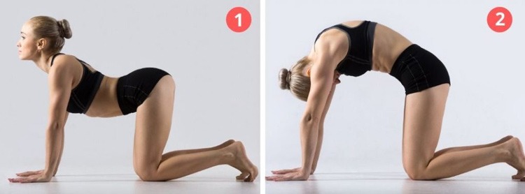  Cách cải thiện lưng gù hiệu quả bằng tư thế con mèo con bò - Cat cow pose