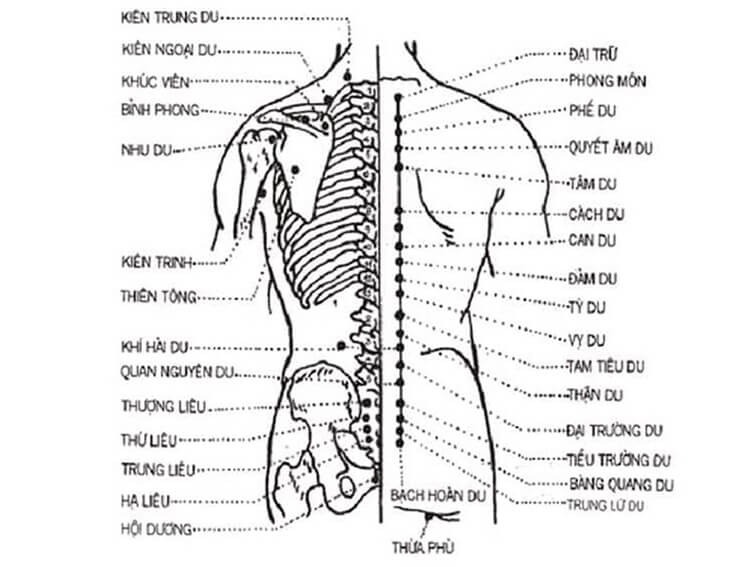  Vị trí các huyệt đạo trong điều trị thoát vị đĩa đệm