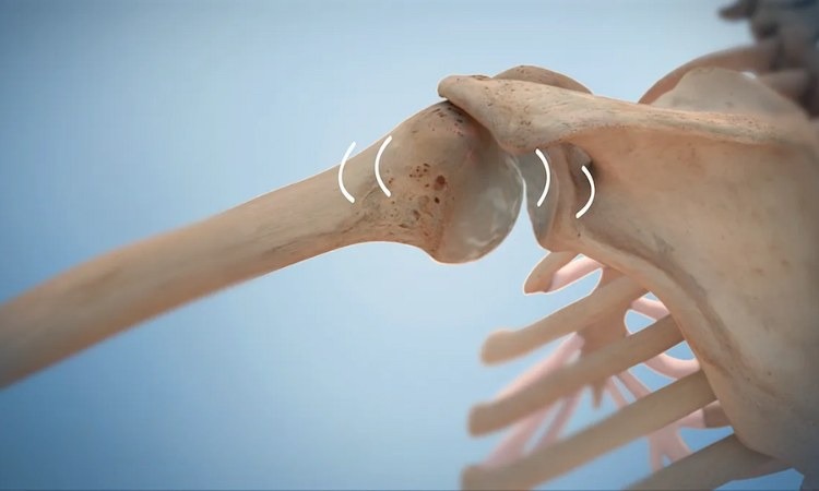  Hình ảnh xương kêu răng rắc