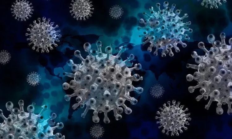  Cây cẩu tích có tác dụng chống lại virus
