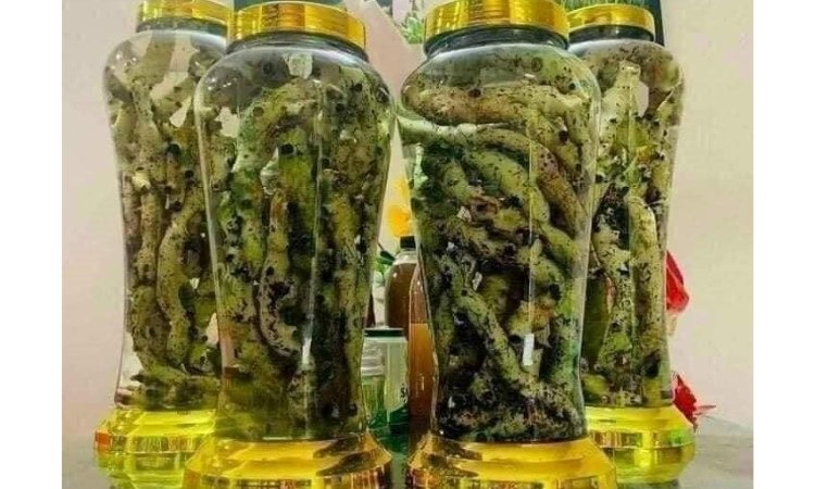  Cách ngâm rượu cốt toái bổ