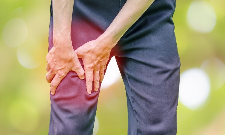  Dược liệu có công dụng giảm đau nhức xương khớp