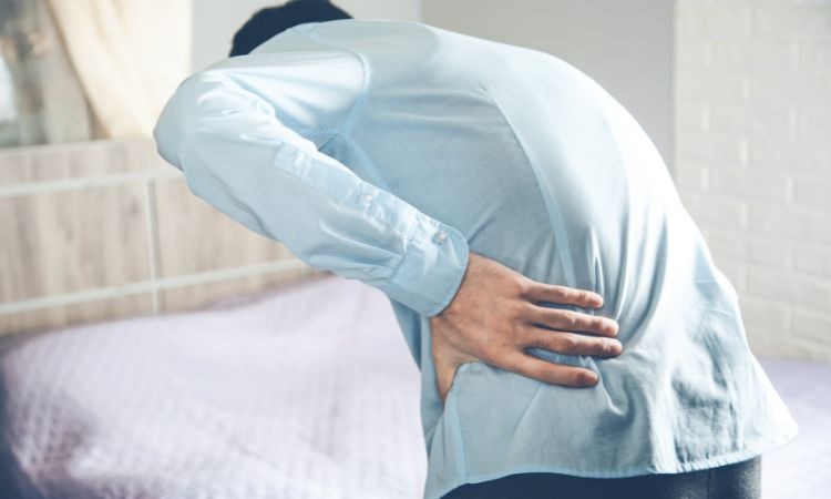  Kê huyết đằng có công dụng giảm đau lưng mỏi gối