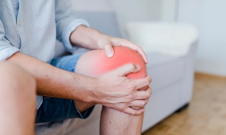  Mộc qua có tác dụng kháng viêm giảm đau