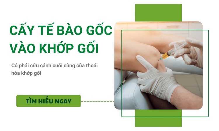  Tìm hiểu phương pháp tiêm tế bào gốc vào khớp gối