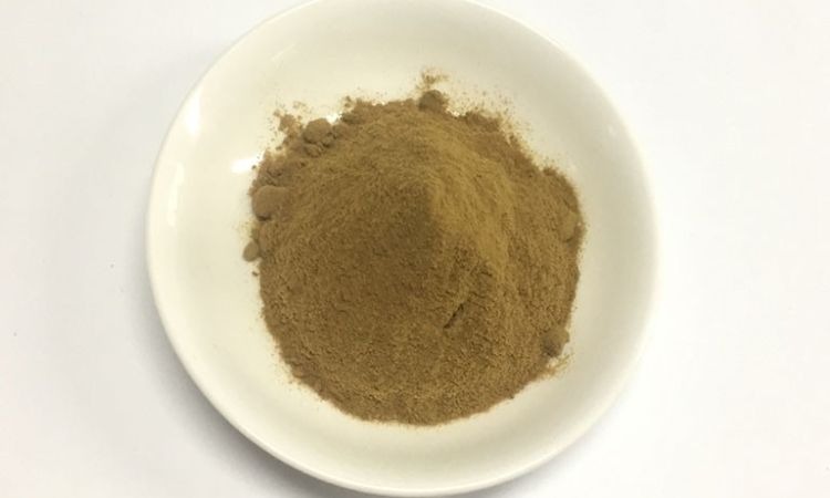  Dược liệu sau khi được chế biến