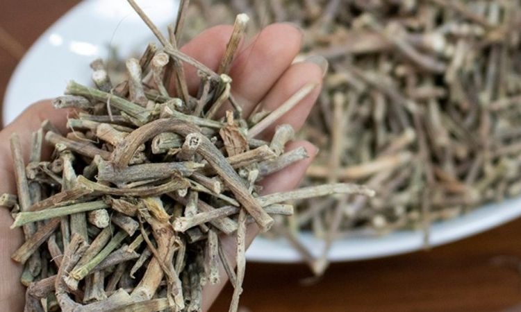  Cách chế biến dược liệu chìa vôi
