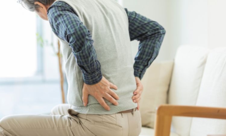  Cây chìa vôi có tác dụng điều trị xương khớp