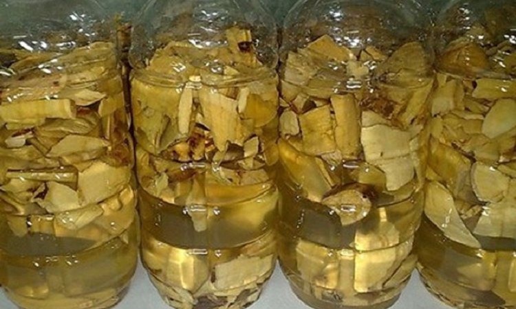  Cách ngâm rượu cây mật gấu