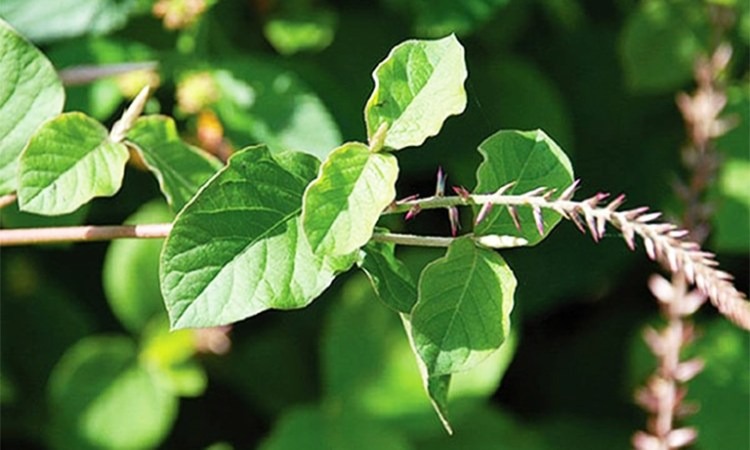  Những điều cần lưu ý khi dùng