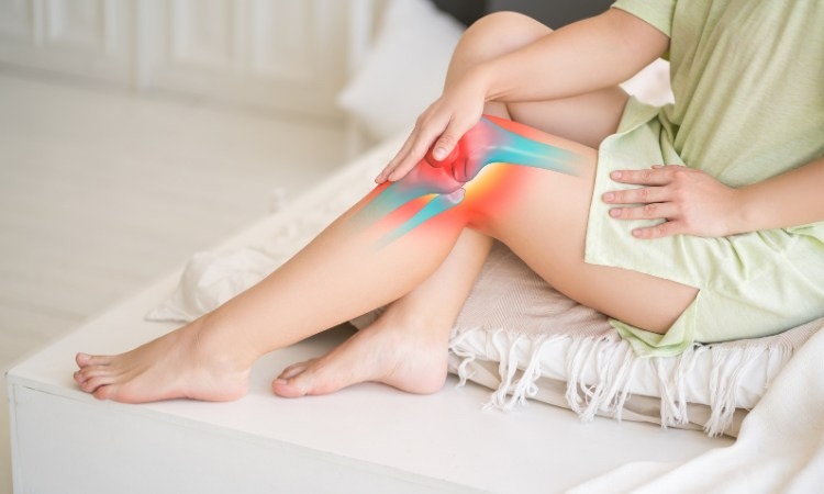  Dược liệu có tác dụng giảm triệu chứng đau xương khớp