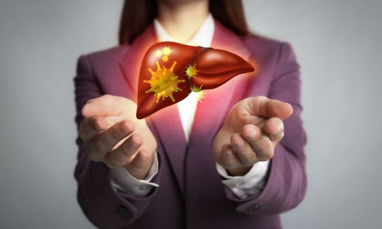  Cà gai leo hỗ trợ điều trị viêm gan B khá hiệu quả