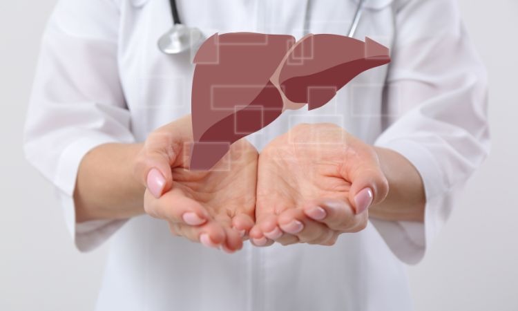  Dược liệu có khả năng hỗ trợ giải độc gan, hạ men gan
