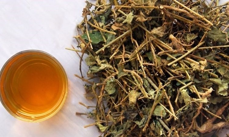  Sử dụng dược liệu khô để hãm trà