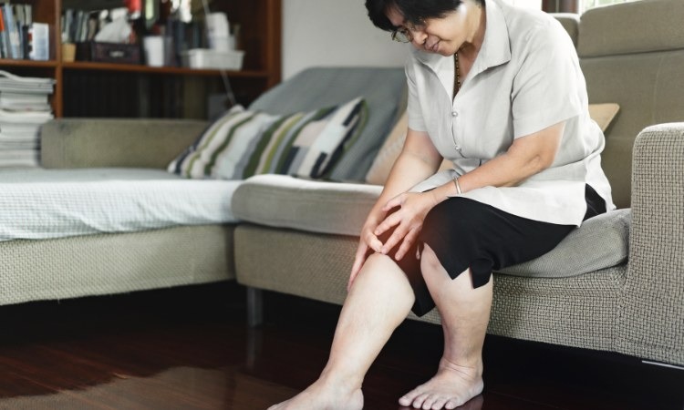  Dược liệu có công dụng hỗ trợ xương khớp