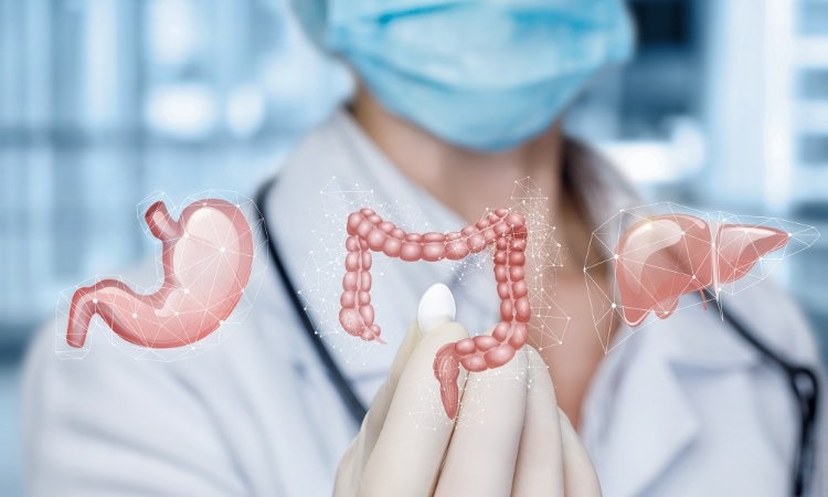  Giúp bảo vệ hệ tiêu hóa khỏe mạnh
