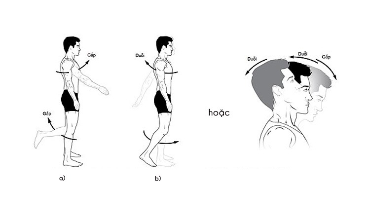  Tập duỗi cổ 2 lần/ngày giúp giảm đau, cải thiện cột sống cổ