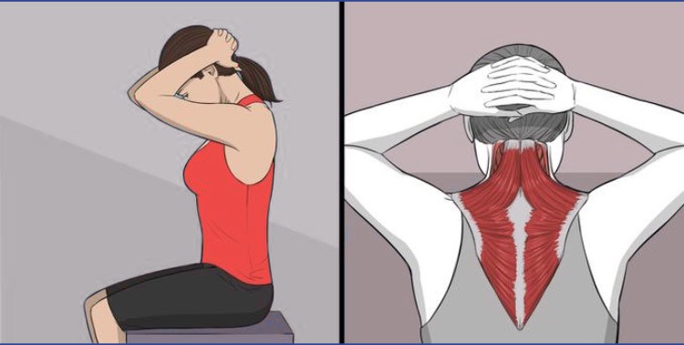  Cải thiện tình trạng gồ vai, mỏi cổ với bài tập thả lỏng cơ cổ