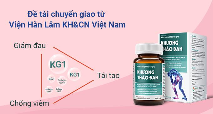 Vì sao bệnh nhân đau vai gáy nên sử dụng Khương Thảo Đan thay thế các sản phẩm cũ