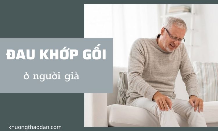 Đau khớp gối người già: Nguyên nhân, triệu chứng và cách điều trị